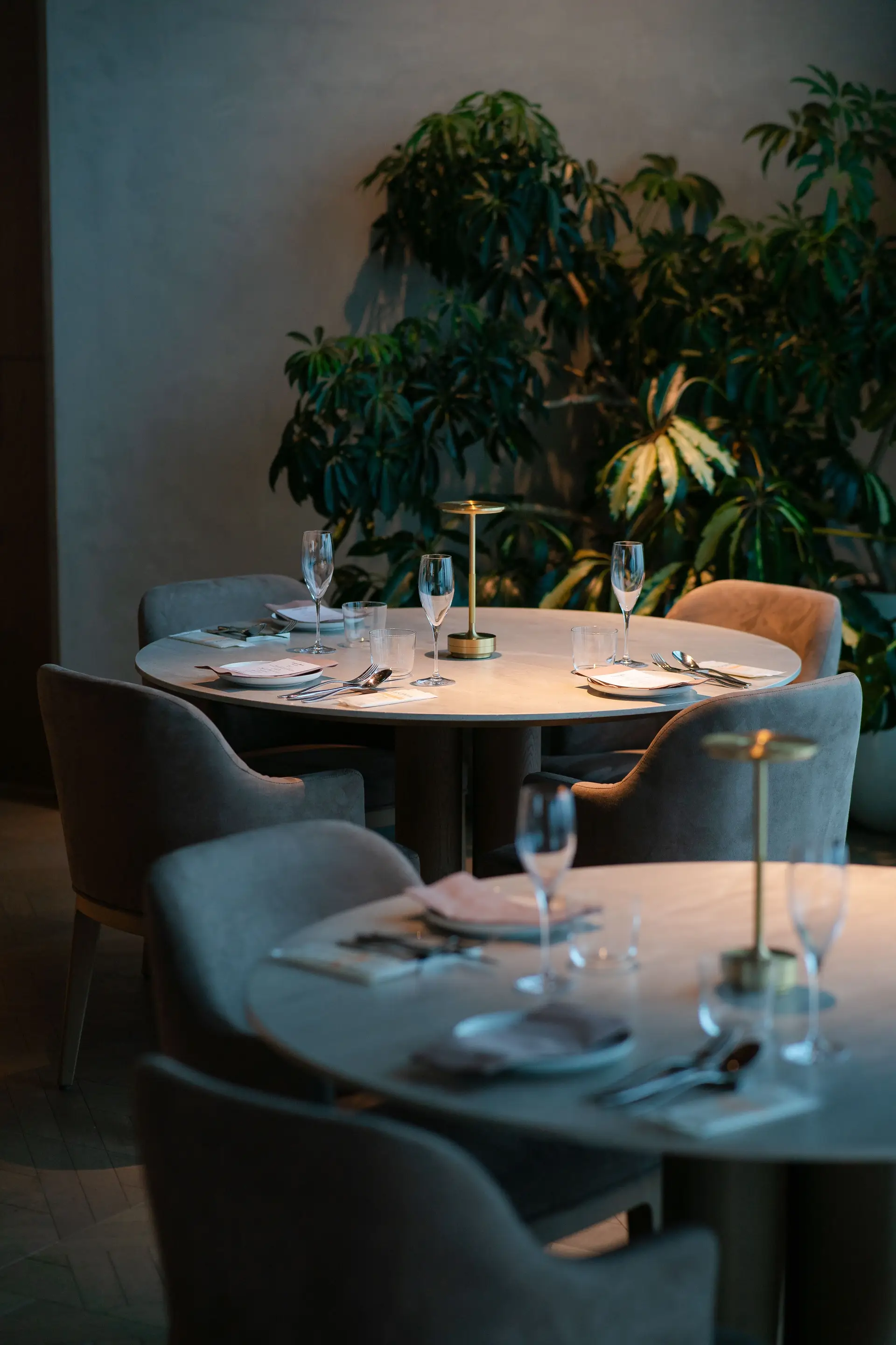 Luxurious dining setting with ambient lighting