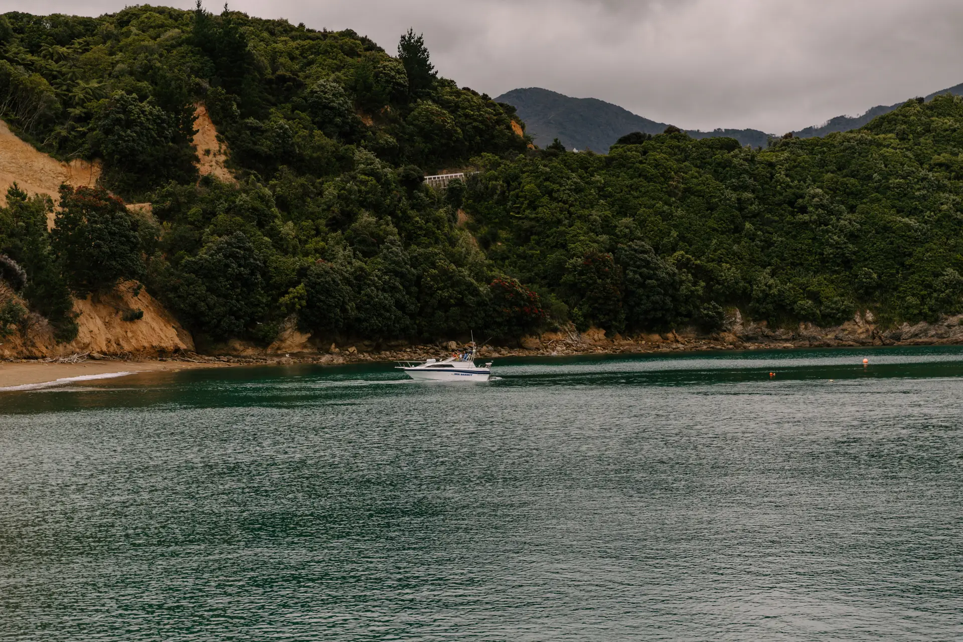 Coastal landscape of New Zealand